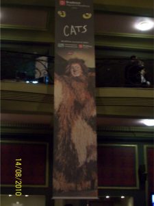 Banner – CATS – Teatro Abril
